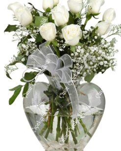 Kalbimin Sesi 11 Beyaz Gül C-KLP102