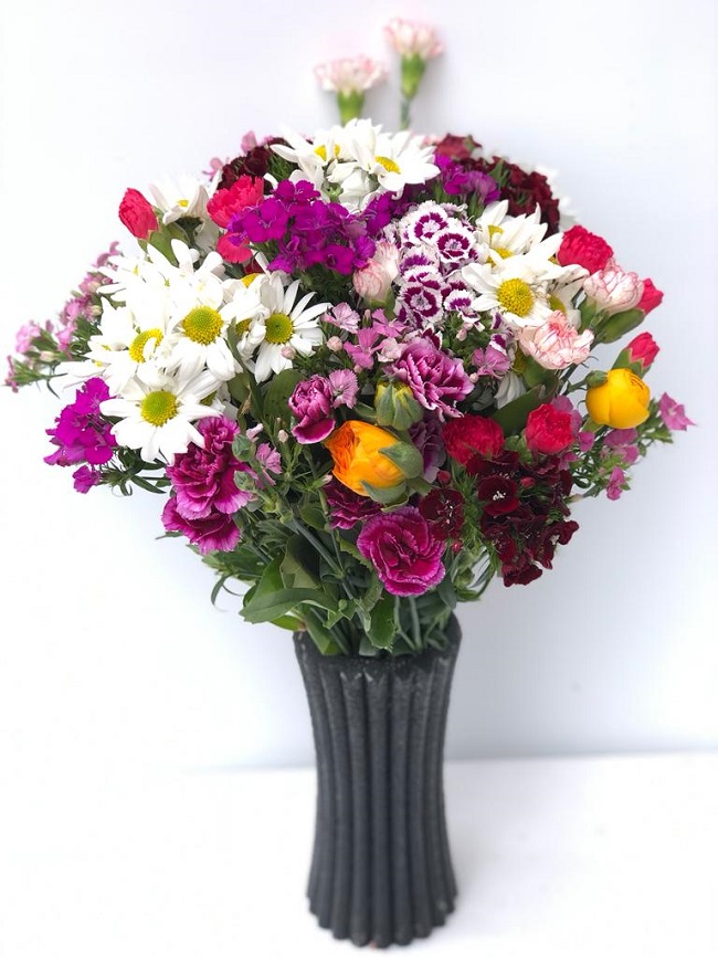 Şakayık Mevsim Çiçeklerinin Güzelli - Görsel 2