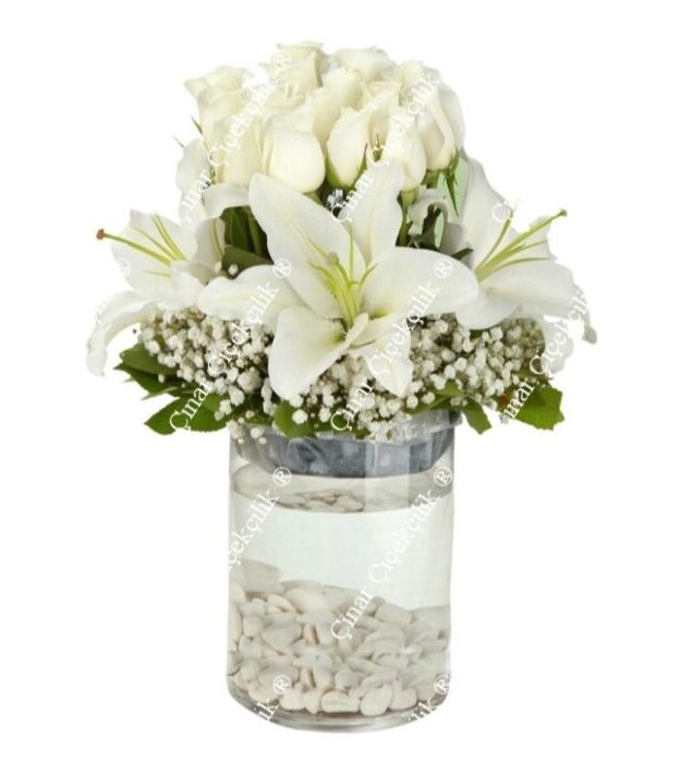 Hayatınızdaki özel anları kutlamak veya sevdiklerinize duygularınızı ifade etmek için mükemmel bir seçenek! Bu şık aranjman, 15 adet beyaz gülün zarafeti, kokulu lilyumların ferahlığı ve cipsofilyanın tazeliğiyle hazırlanmıştır.