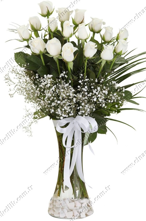 17 adet beyaz gül, zarif bir aranjmanla sunuluyor. Bu özel buket, saflığı ve zarafeti simgeler; sevdiklerinize olan duygularınızı en güzel şekilde ifade eder. Her ortama uyum sağlayacak şık tasarımıyla, özel günlerde veya sıradan bir günde bile mükemmel bir hediye seçeneğidir. Eşsiz kokusu ve taze görünümüyle, hem evinize hem de sevdiklerinize ferah bir dokunuş katacak.