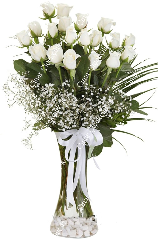 Cam vazoda 20 beyaz gül, zarif tasarımıyla saflık ve zarafeti simgeler. Özel günler için mükemmel bir hediye seçeneği