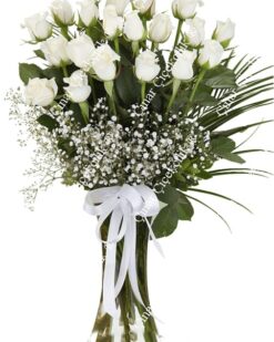 21 Beyaz Gül  C-CAM110