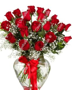 21 Kırmızı Gül C-CAM112