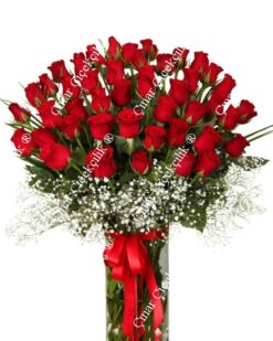 45 Kırmızı Gül C-CAM115