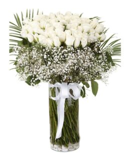 66 beyaz gül, şık bir aranjmanla sunulmuş. Aşk ve zarafetin sembolü olarak özel günlerde tercih edebileceğiniz mükemmel bir hediye.