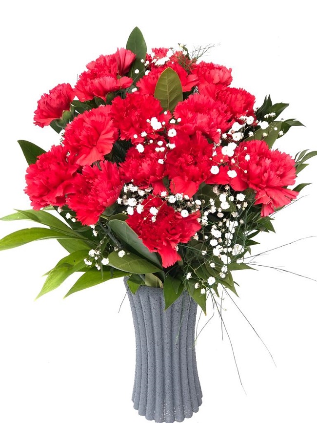 Karanfil - Görsel 3