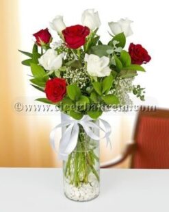 Rüya ' 9 Adet Beyaz Kırmızı Gül