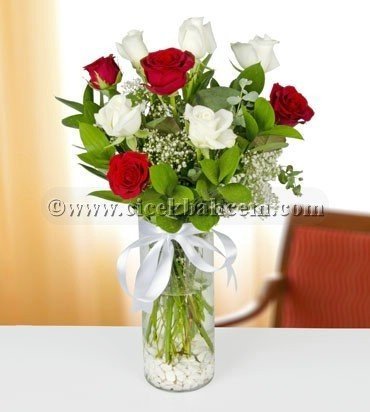 Rüya ' 9 Adet Beyaz Kırmızı Gül