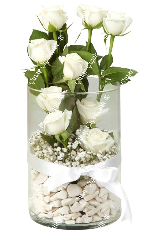 9 beyaz gül, dekoratif taşlar ve cipsofilya ile zarif bir cam vazoda sunulmuş. Saflık ve zarafeti simgeleyen bu buket, her ortama uyum sağlar.