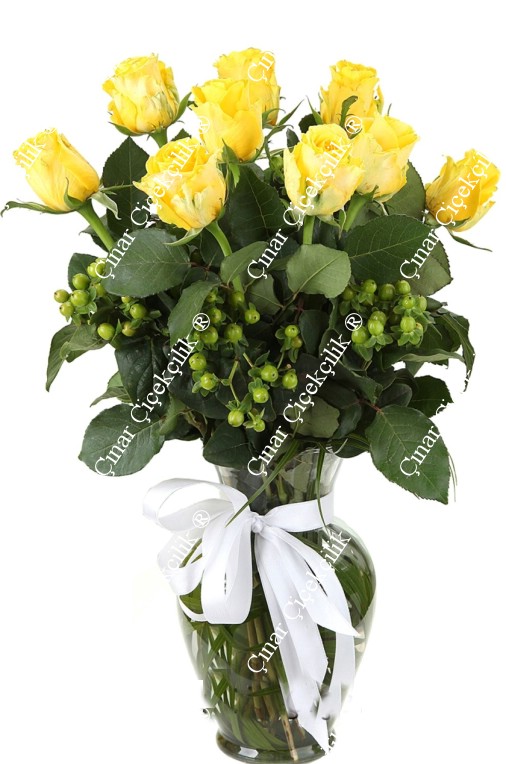9 Adet Sarı Gül C-CAM105