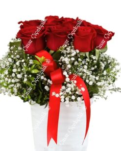 Seramik İçinde 9 Kırmızı Gül C-SER109