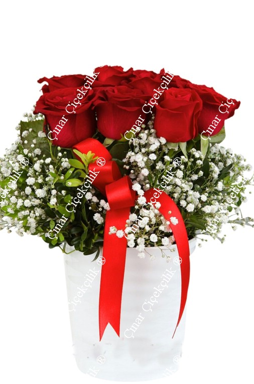 Seramik İçinde 9 Kırmızı Gül C-SER109