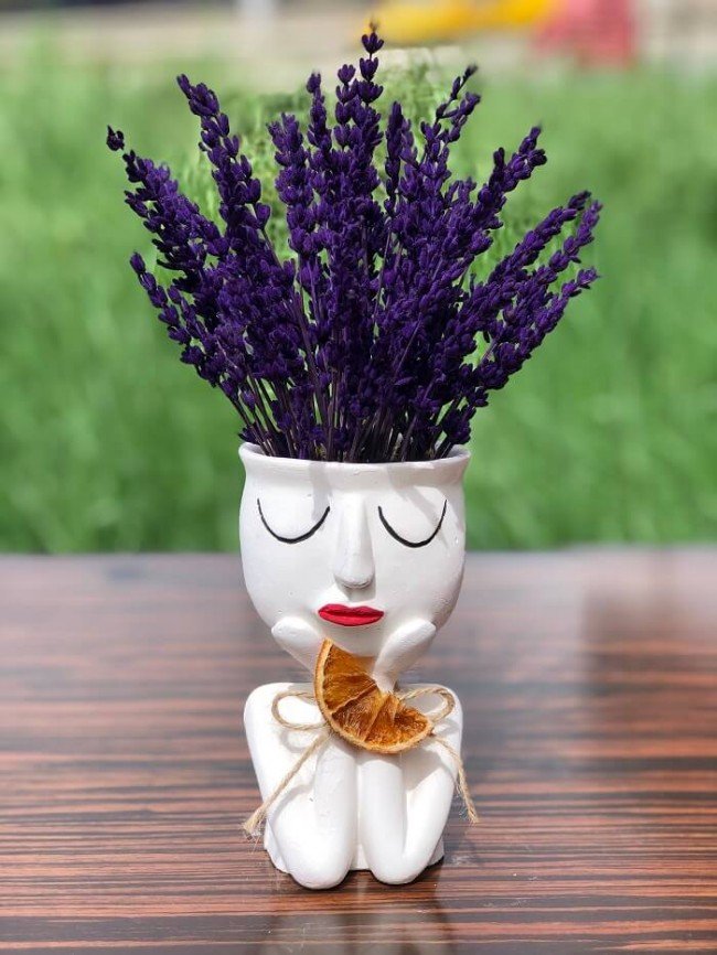 Kalıcı Aşk Kokulu Lavanta Çiçeği