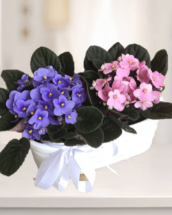 Anneler Günü Menekşe Sepeti