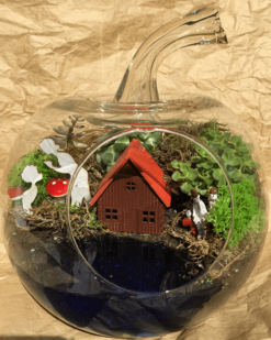 Anne İçin Özel Teraryum