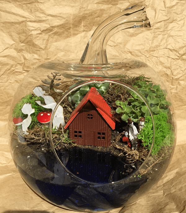 Anne İçin Özel Teraryum