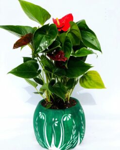 Cruse Antorim, Desenli Dekortif Vazo