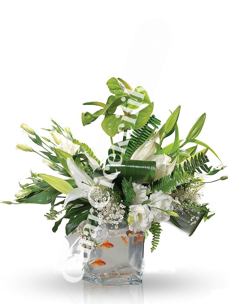 Beyaz Balıklı Çiçek Aranjmanı