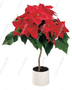 Baston Atatürk Çiçeği C-SAK139