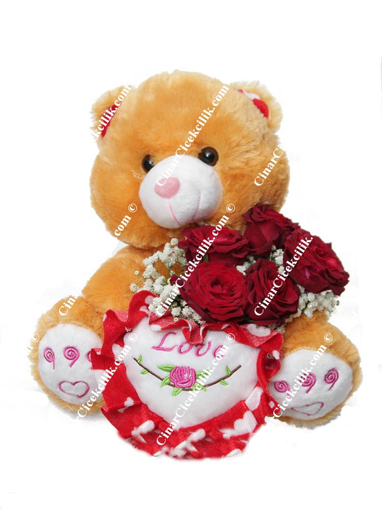 Kalbimin Sahibi C-OY108