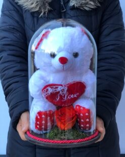 Solmayan Gül - Kırmızı Renkli Gül, Pembe Pelüş Ayı