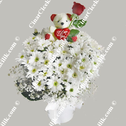 Oyuncaklı Ayı Kır Çiçekleri C-OY126