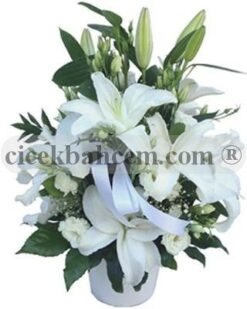 Beyaz Melek Lilyum Gül C-AR113