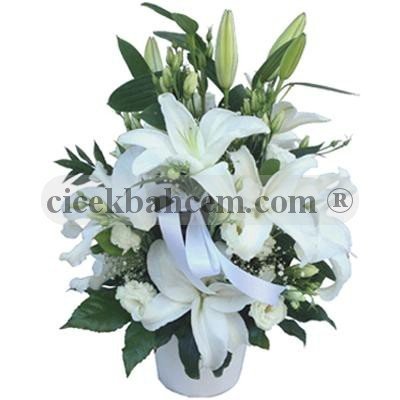 Beyaz Melek Lilyum Gül C-AR113