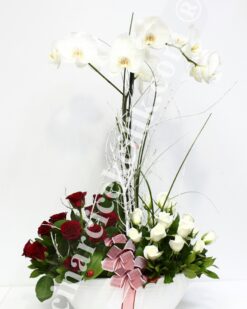 Beyaz Gül, Orkide Kırmızı Gül C-OR129