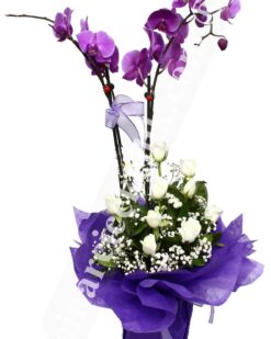 İkili Pembe Orkide Beyaz Gül C-OR132