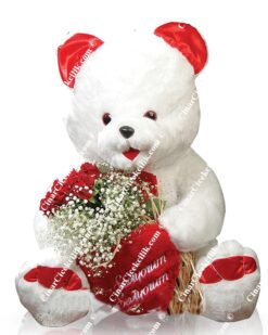 Büyük Oyuncak Ayı Gül C-OY114