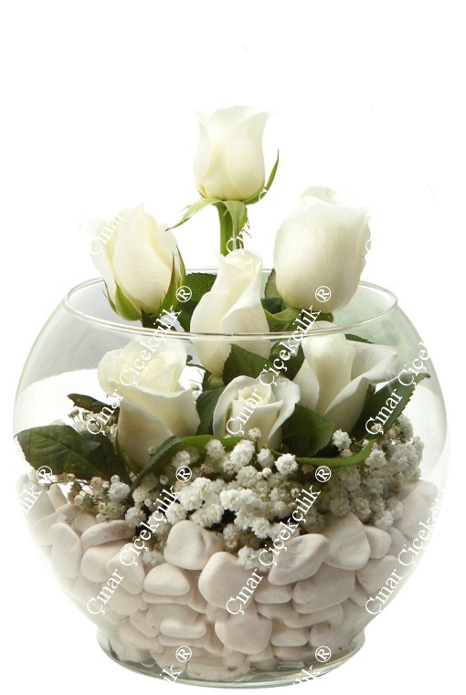 7 beyaz gül, cipsofilya ile süslenmiş cam kalp vazoda sunulmuş. Aşkı ve saflığı simgeleyen bu buket, özel günler için idealdir.