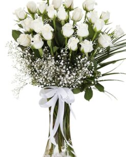 Beyaz Düşler 25 Beyaz Gül C-CAM119