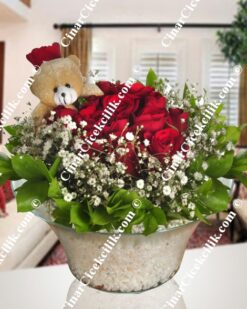 Sevimli Ayı Kırmızı Gül C-OY127