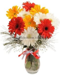 Aynı Gün Hızlı Teslimat'' RENK ZERAFETİ GERBERA ÇİÇEKLERİ