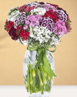 Mutluluk Diyarı Bahar Çiçekleri