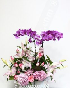 Dörtlü Pembe Orkide Gül Lilyum C-OR139