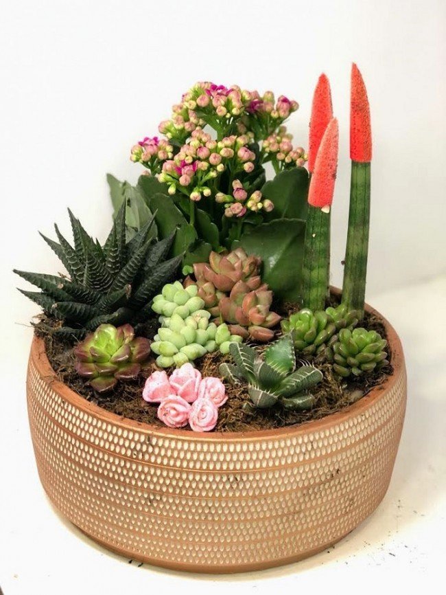 Cennet Bahçesi Sukulent Aranjmanı - Görsel 2