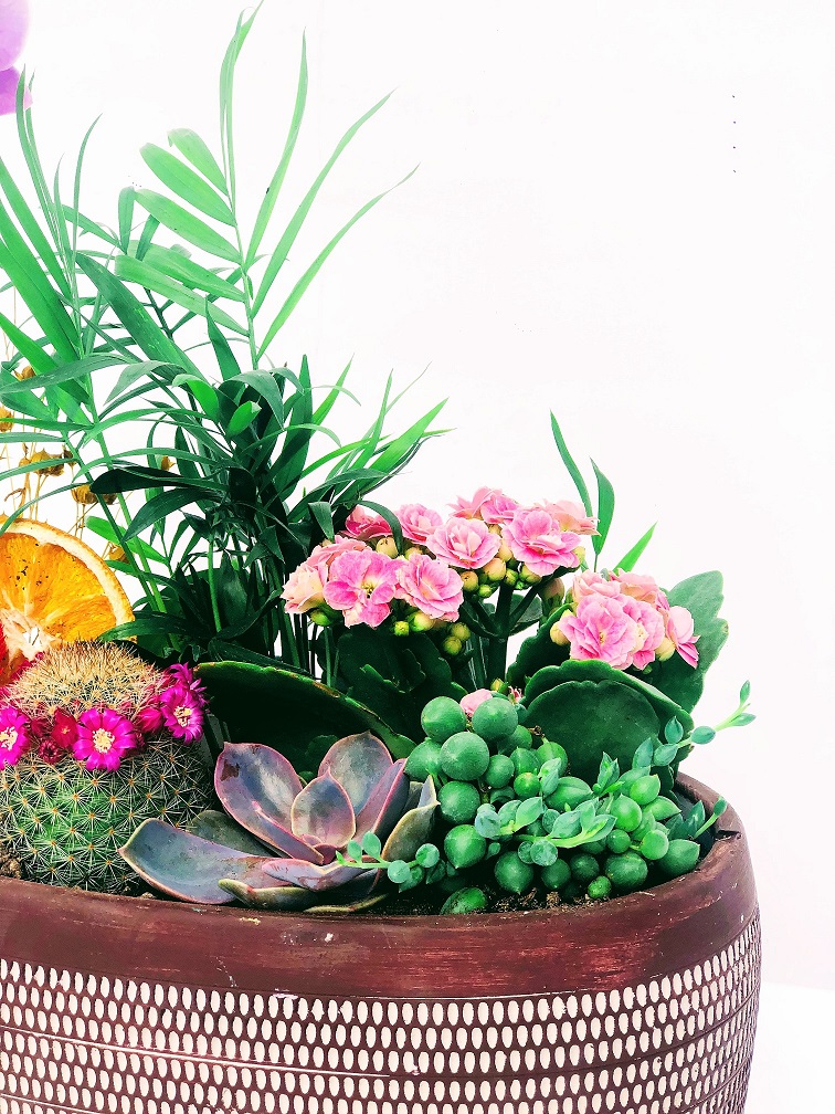 Birds Desenli Vazoda Orkide Teraryum Tasarımı - Görsel 2