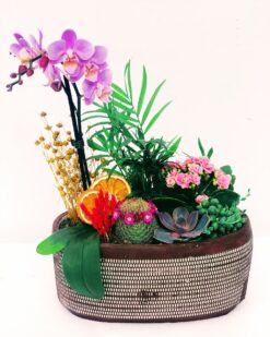 Birds Desenli Vazoda Orkide Teraryum Tasarımı