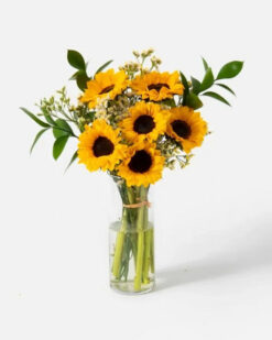 Vazoda Güne Bakan Çiçeği Aranjmanı, parlak ayçiçekleriyle hazırlanan şık bir çiçek tasarımıdır.