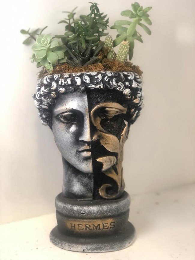 Sukulent Aranjmanı Çınar Çiçekçilik - Görsel 2