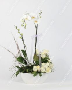 Sevgi Yağmuru Orkide ve Gül C-AR107