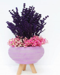 Kalbimin Tek Sahibi Kokulu Kuru Lavanta