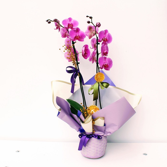 Özel Vazoda Çiftli Pembe Felix Orkide