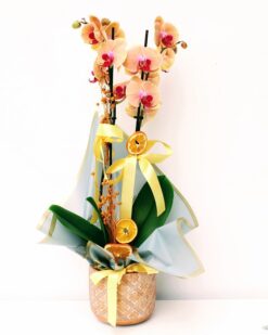 Vintage Dekoratif Vazo  İkili Turuncu Orkide