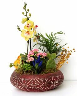 AUSTIN Desenli Vazoda Orkide Kaktüs Teraryum