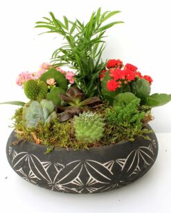 Mermait Desenli Vazoda Teraryum