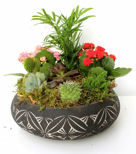 Mermait Desenli Vazoda Teraryum