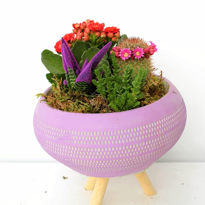 FRENCH Dekoratif Ayaklı Vazo Kaktüs ve Kalancuha